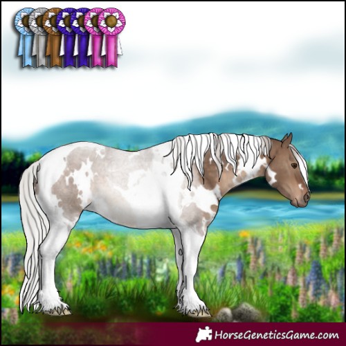 Horse Color:White Spotted Silver Brown Dun Tobiano 