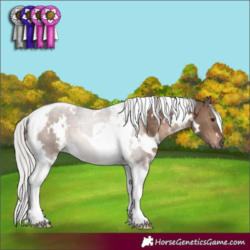 Horse Color:White Spotted Silver Brown Dun Tobiano 