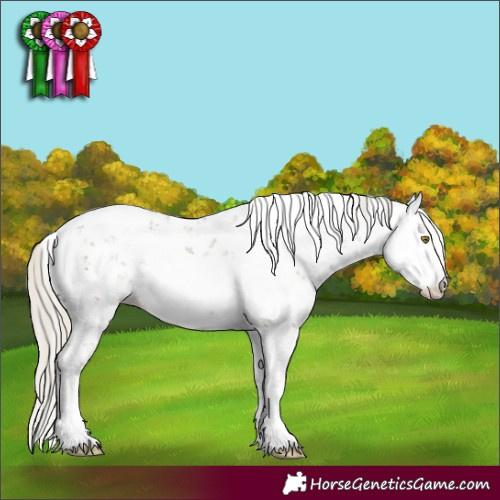 Horse Color:Silver Buckskin Dun Sabino 