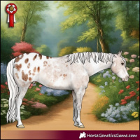 Horse Color:White Spotted Silver Brown Dun Sabino Appaloosa Brindle 
