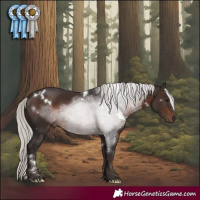 Horse Color:White Spotted Silver Brown Rabicano