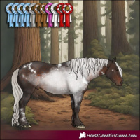Horse Color:White Spotted Silver Brown Rabicano 