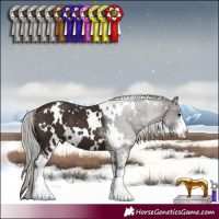 Horse Color:White Spotted Silver Brown Sabino 