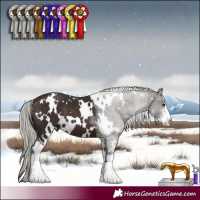 Horse Color:White Spotted Silver Brown Sabino