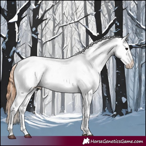 Horse Color:Grullo Splash Appaloosa 
