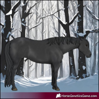 Horse Color:Black Mushroom 