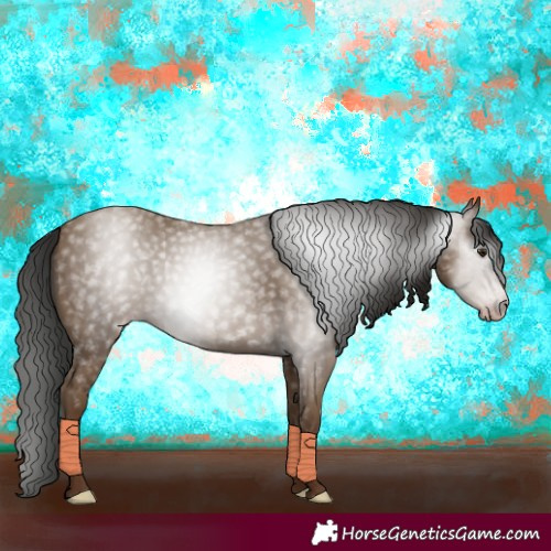 Horse Color:Gray Classic Champagne 