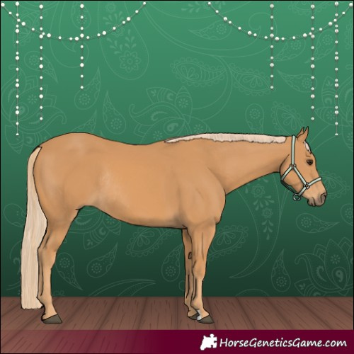 Horse Color:Chestnut Rabicano 