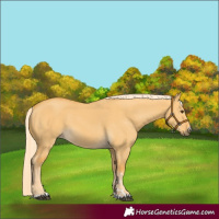 Horse Color:Palomino Dun 