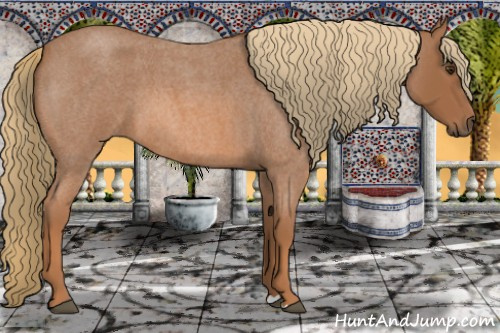 Horse Color:Red Roan
