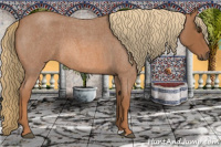 Horse Color:Red Roan