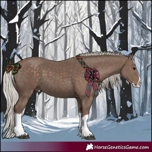 Horse Color:Silver Black Splash