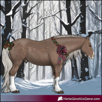 Horse Color:Silver Black Splash 