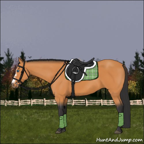 Horse Color:Bay Splash Frame 