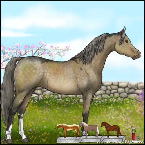 Horse Color:Chocolate Palomino Dun Mushroom Sabino Rabicano 