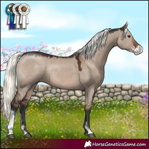 Horse Color:Liver Red Dun Mushroom Sabino Rabicano 