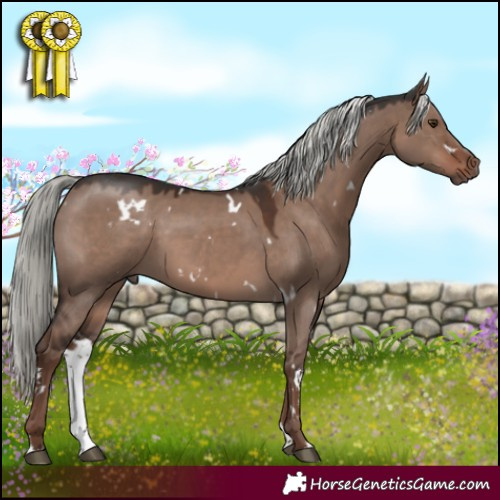 Horse Color:White Spotted Liver Red Dun Mushroom Sabino Rabicano 