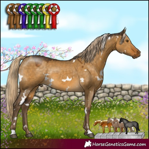 Horse Color:White Spotted Chocolate Palomino Dun Mushroom Rabicano 