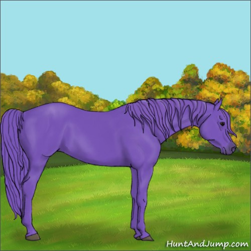 Horse Color:Watercolor Smoky Black 