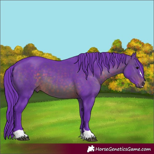 Horse Color:Watercolor Brown 