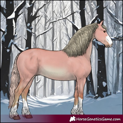 Horse Color:Watercolor Red Dun 
