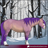 Horse Color:Watercolor Brown Dun 