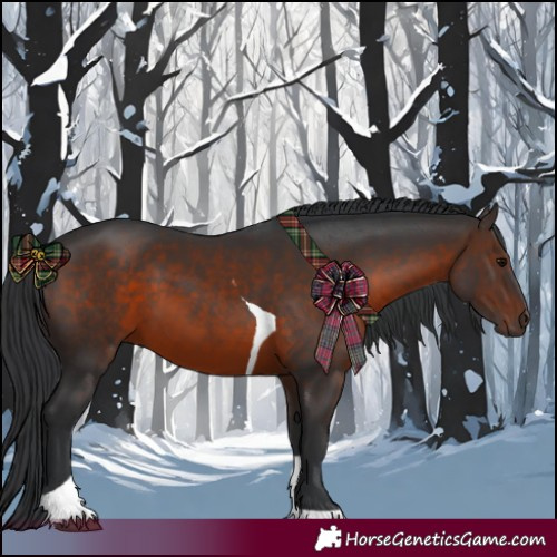 Horse Color:Brown Tobiano