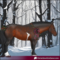 Horse Color:Brown Tobiano 