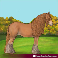 Horse Color:Chestnut  and Chestnut 
