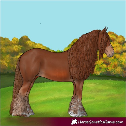 Horse Color:Chestnut  and Chestnut 