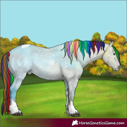 Horse Color:Painted White Spotted Bay Chinchilla Ice Dun Tobiano 