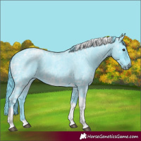 Horse Color:Watercolor Blue Ice Roan Tobiano 