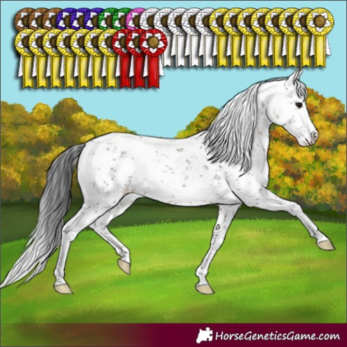 Horse Color:White Spotted Brown Dun Sabino Brindle