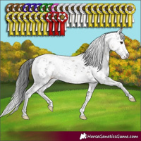 Horse Color:White Spotted Brown Dun Sabino Brindle 