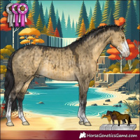 Horse Color:Buckskin Dun Sabino Rabicano Brindle 