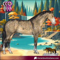 Horse Color:Buckskin Dun Sabino Rabicano Brindle 