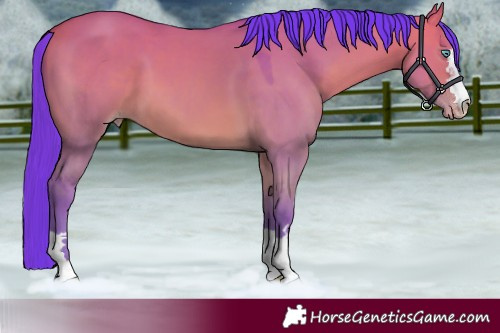 Horse Color:Watercolor Amber Champagne Dun 