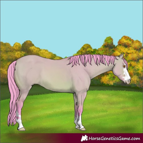 Horse Color:Watercolor Bay Dun 