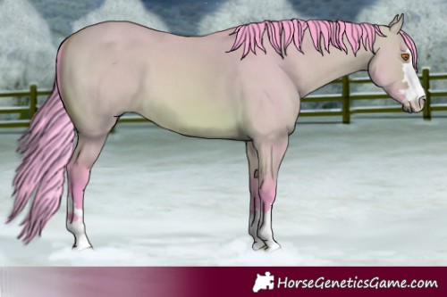 Horse Color:Watercolor Bay Dun