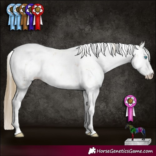 Horse Color:Buckskin Pearl Sabino