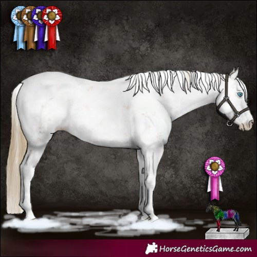 Horse Color:Buckskin Pearl Sabino 