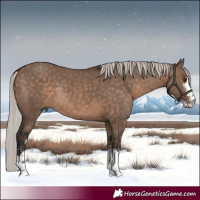 Horse Color:Silver Brown Dun Sabino Rabicano 