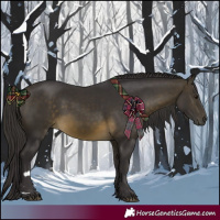 Horse Color:Buckskin 