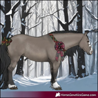 Horse Color:Grullo Rabicano 