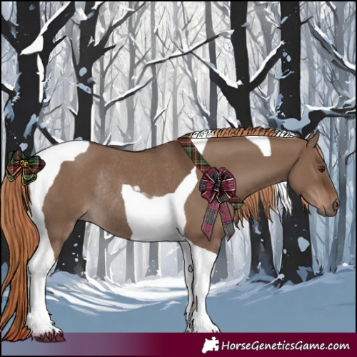 Horse Color:Liver Red Dun Tobiano Rabicano