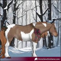Horse Color:Liver Red Dun Tobiano Rabicano 