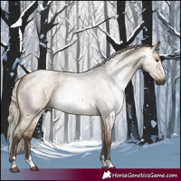 Horse Color:Gray Silver Buckskin Roan Dun Rabicano 