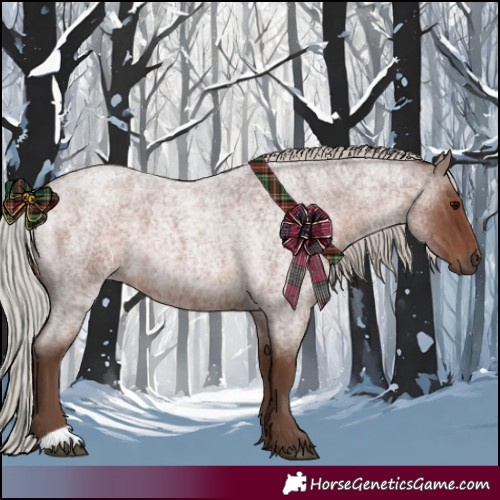 Horse Color:Silver Blue Roan 