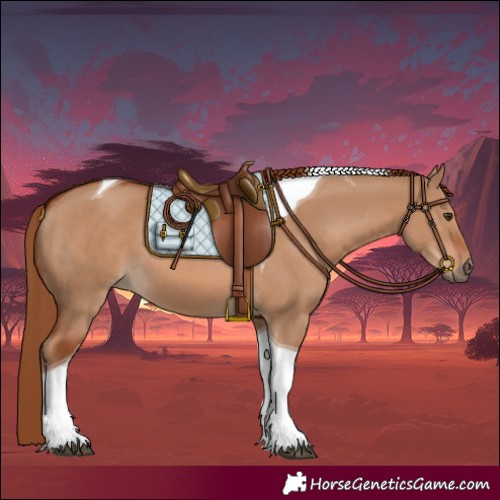 Horse Color:Red Dun Tobiano 