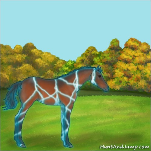 Horse Color:Thunderstruck Brown 
